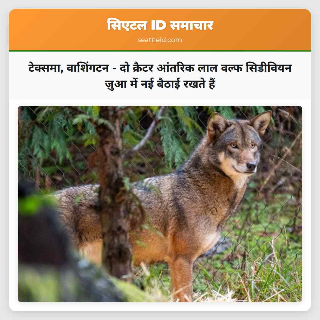 टेक्समा, वाशिंगटन - दो क्रैटर आंतरिक लाल वल्फ