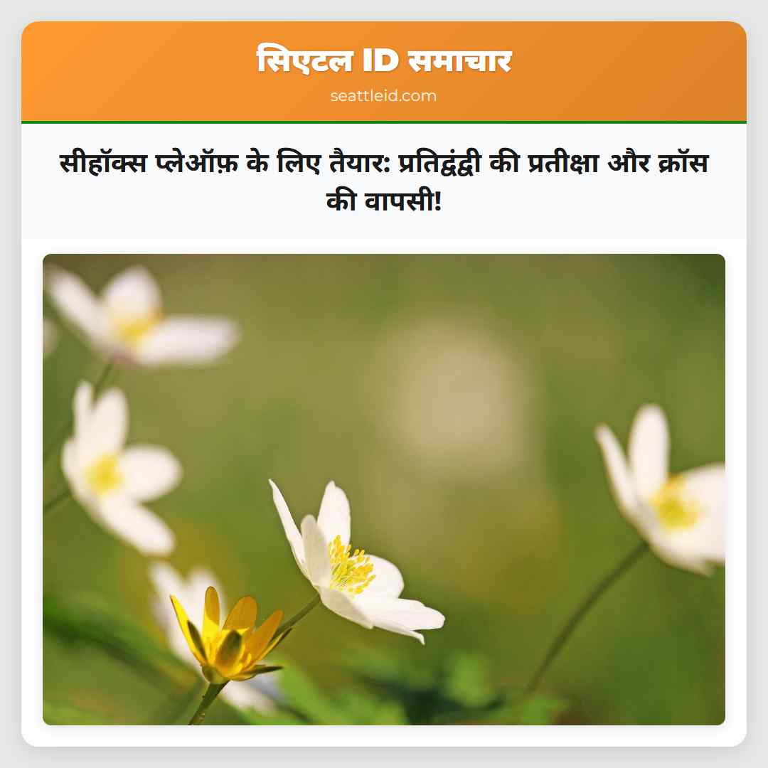 सीहॉक्स प्लेऑफ़ के लिए तैयार: प्रतिद्वंद्वी की