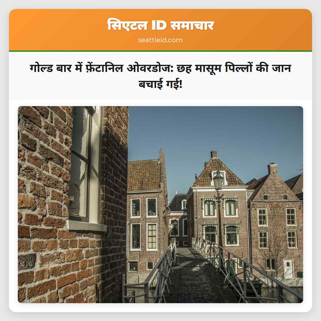 गोल्ड बार में फ़ेंटानिल ओवरडोज: छह मासूम पिल्लों