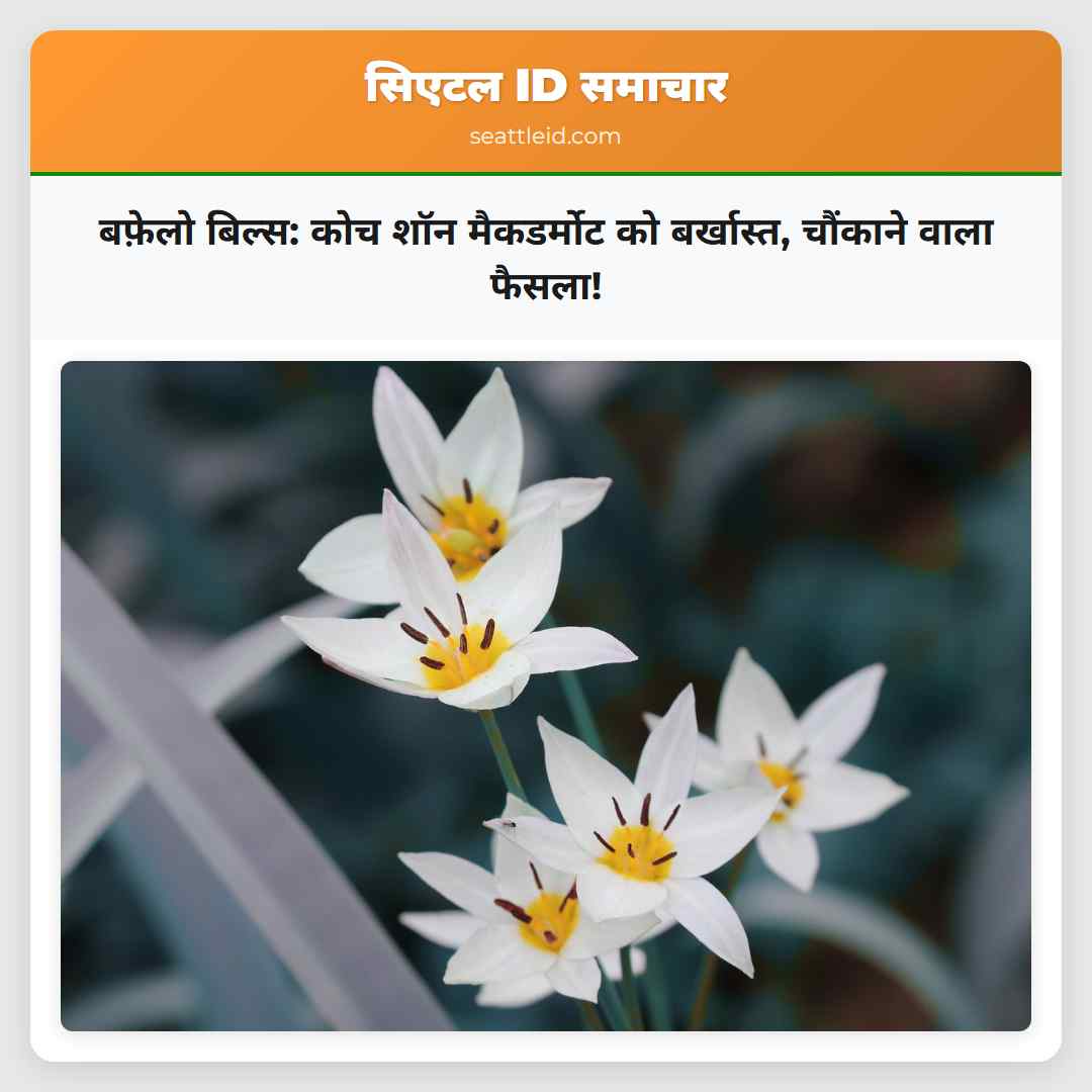 बफ़ेलो बिल्स: कोच शॉन मैकडर्मोट को बर्खास्त,