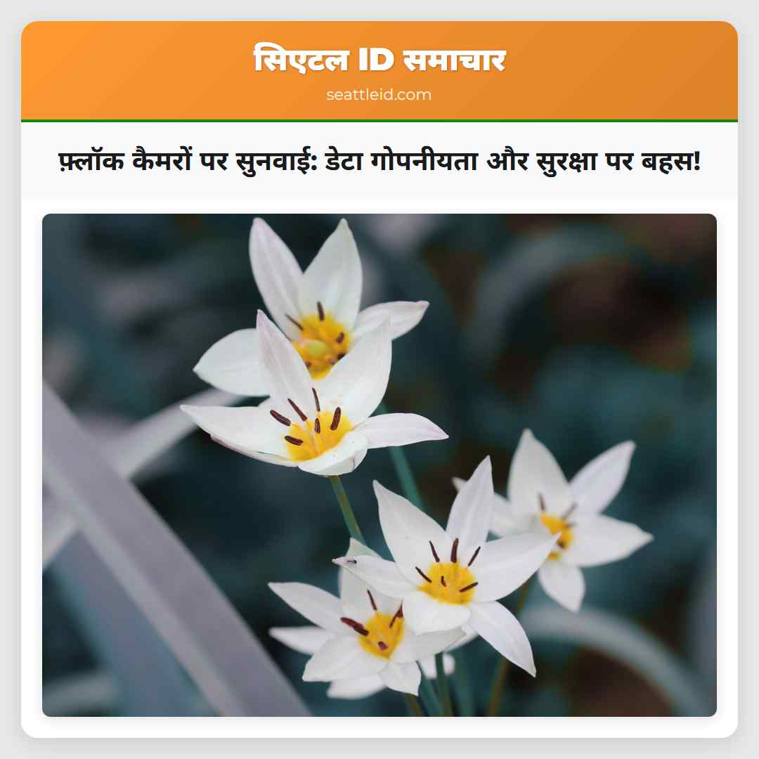 फ़्लॉक कैमरों पर सुनवाई: डेटा गोपनीयता और सुरक्षा