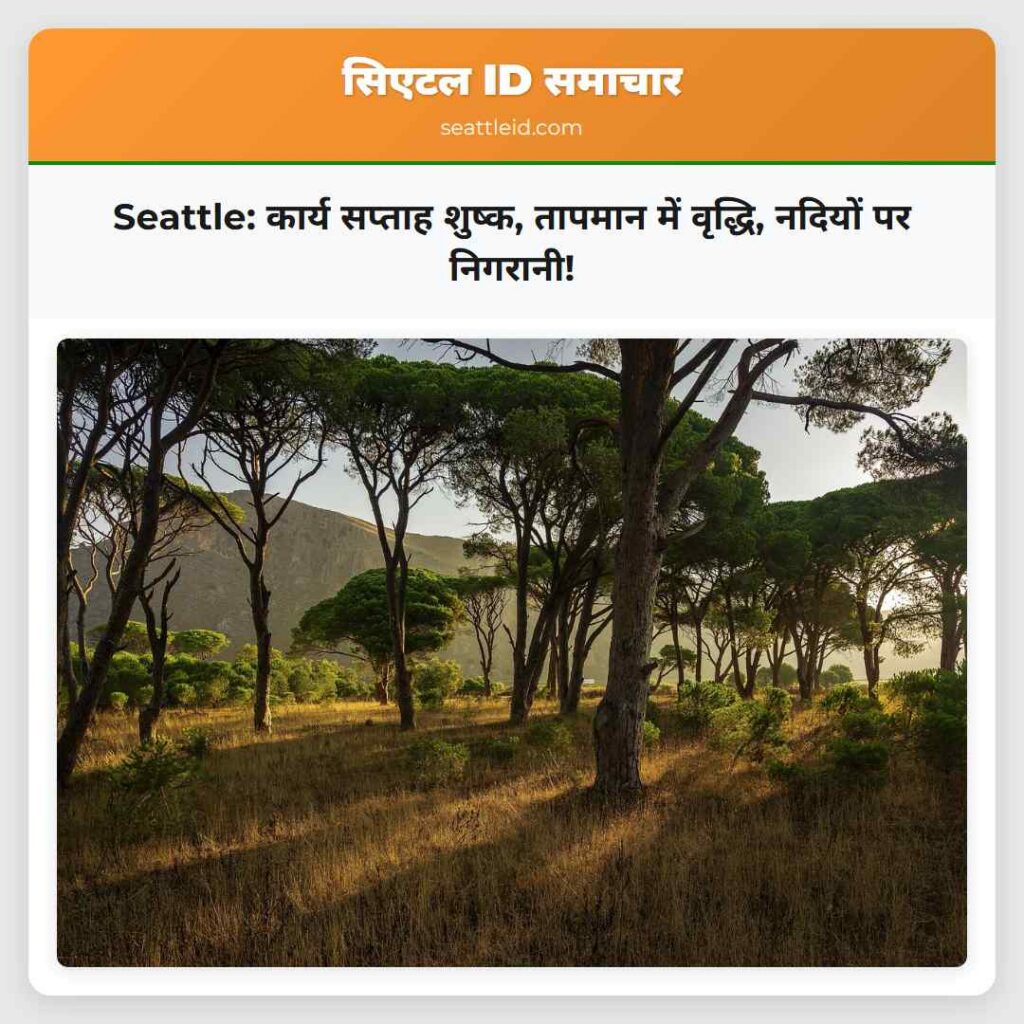 Seattle: कार्य सप्ताह शुष्क, तापमान में वृद्धि,