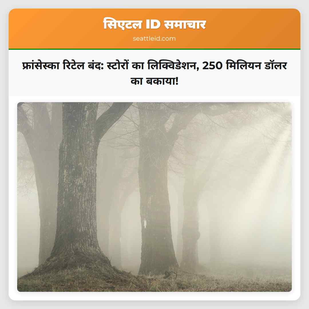 फ्रांसेस्का रिटेल बंद: स्टोरों का लिक्विडेशन, 250