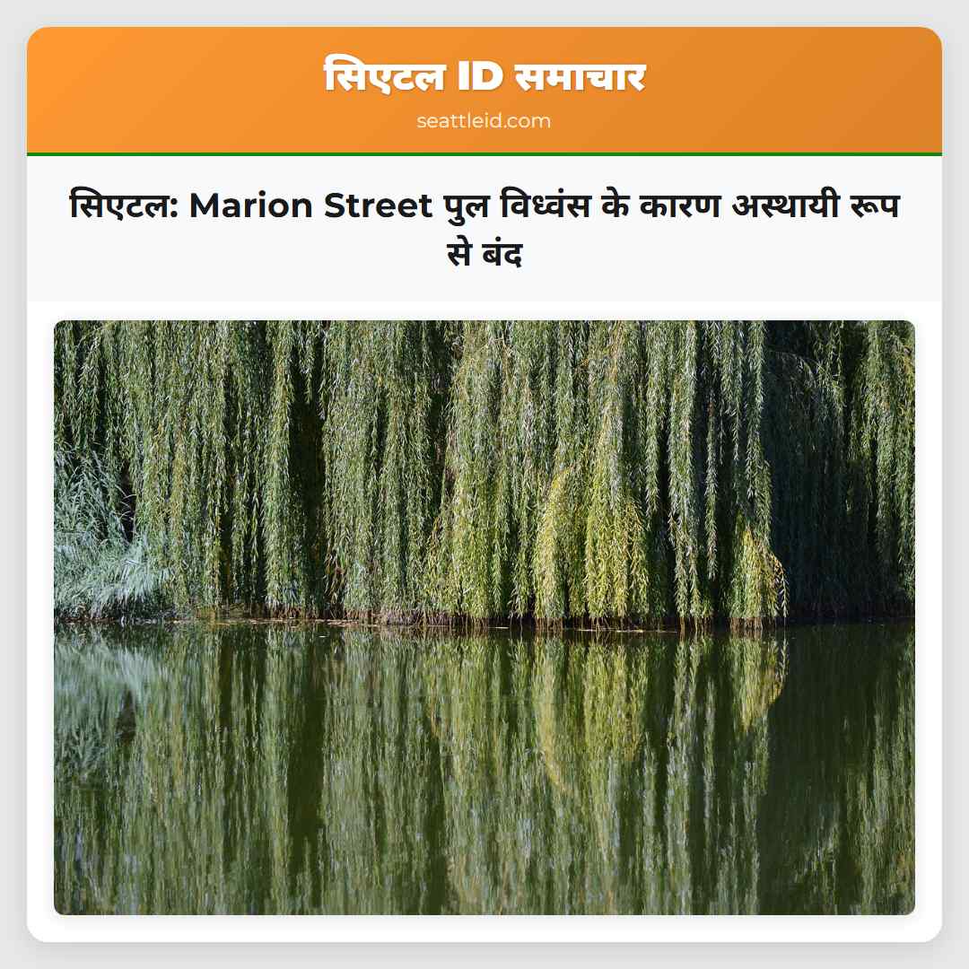 सिएटल: Marion Street पुल विध्वंस के कारण अस्थायी