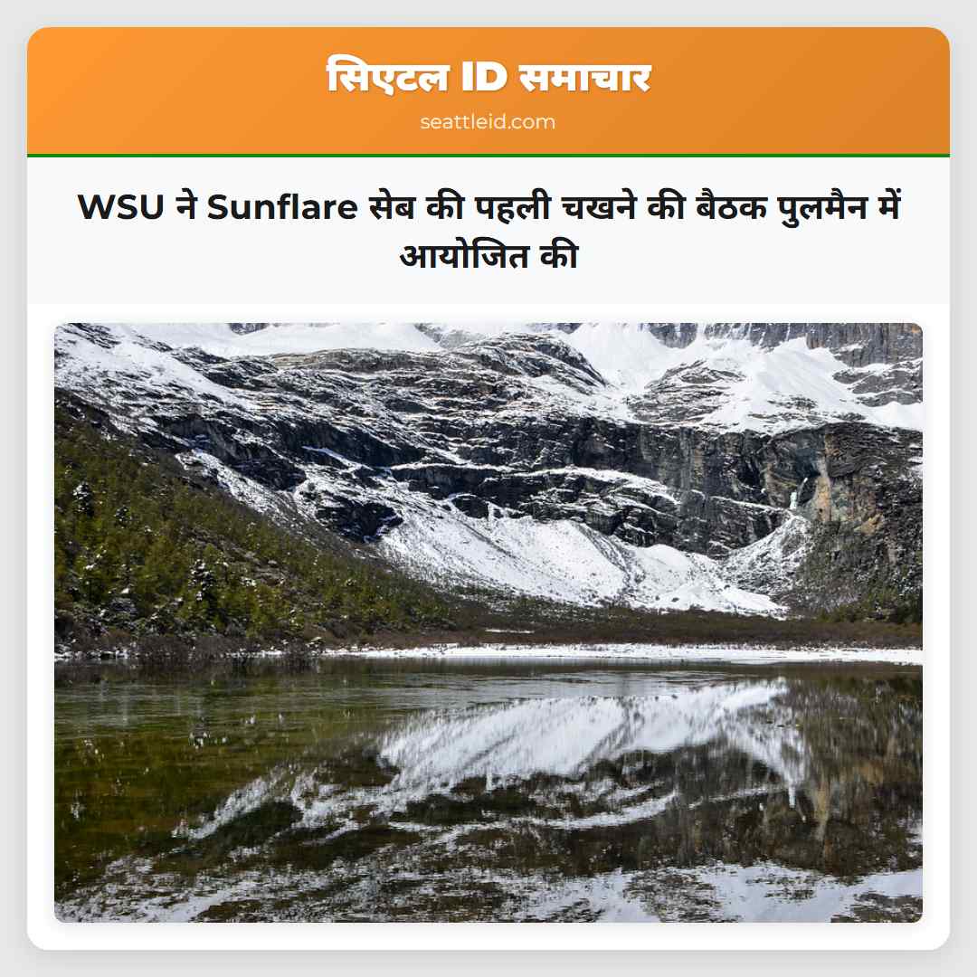 WSU ने Pullman में Sunflare सेब की पहली चखने की बैठक आयोजित की