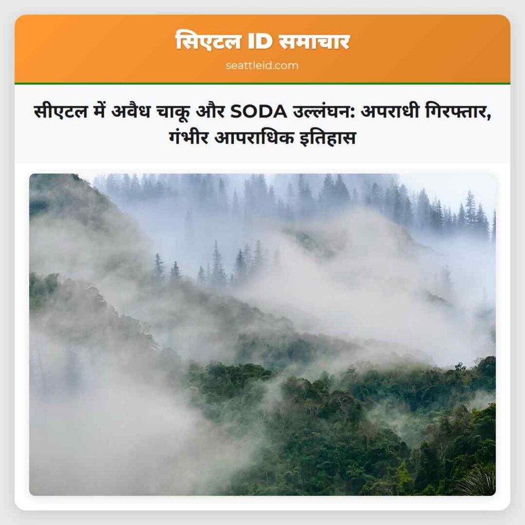 सीएटल में अवैध चाकू और SODA उल्लंघन: अपराधी
