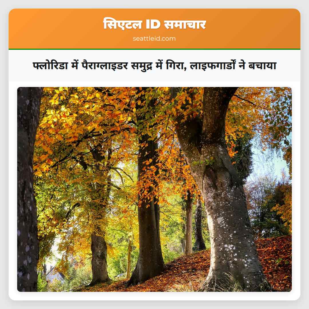 फ्लोरिडा में पैराग्लाइडर समुद्र में गिरा,