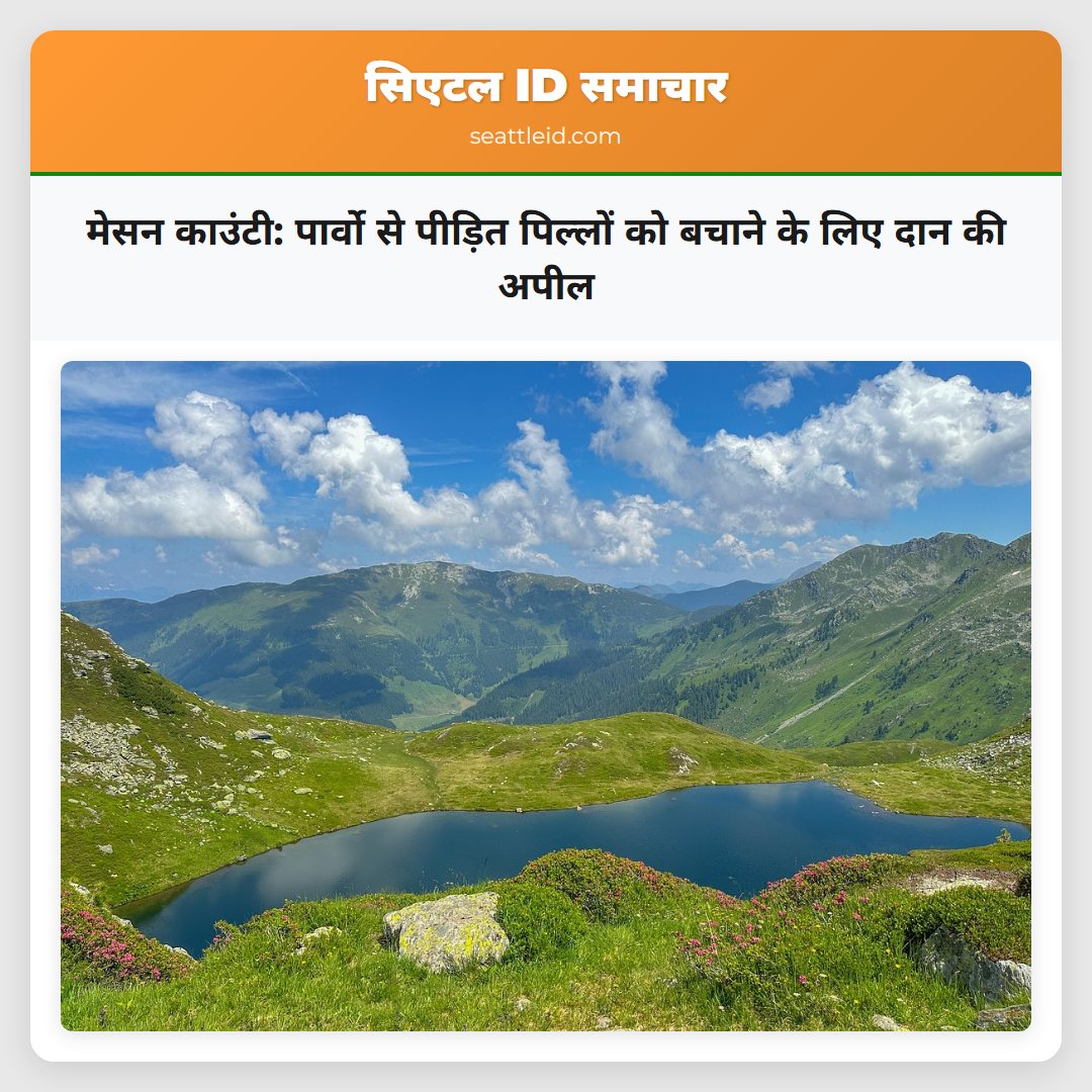 मेसन काउंटी: पार्वो से पीड़ित पिल्लों को बचाने के