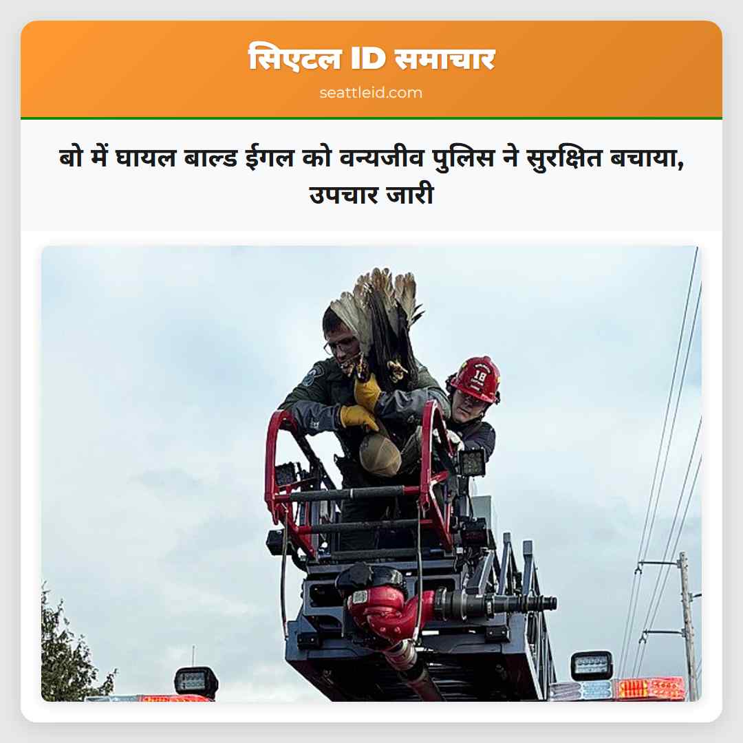 बो में घायल बाल्ड ईगल को वन्यजीव पुलिस ने