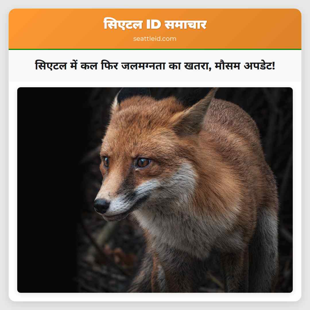 सिएटल में कल फिर जलमग्नता का खतरा, मौसम अपडेट!