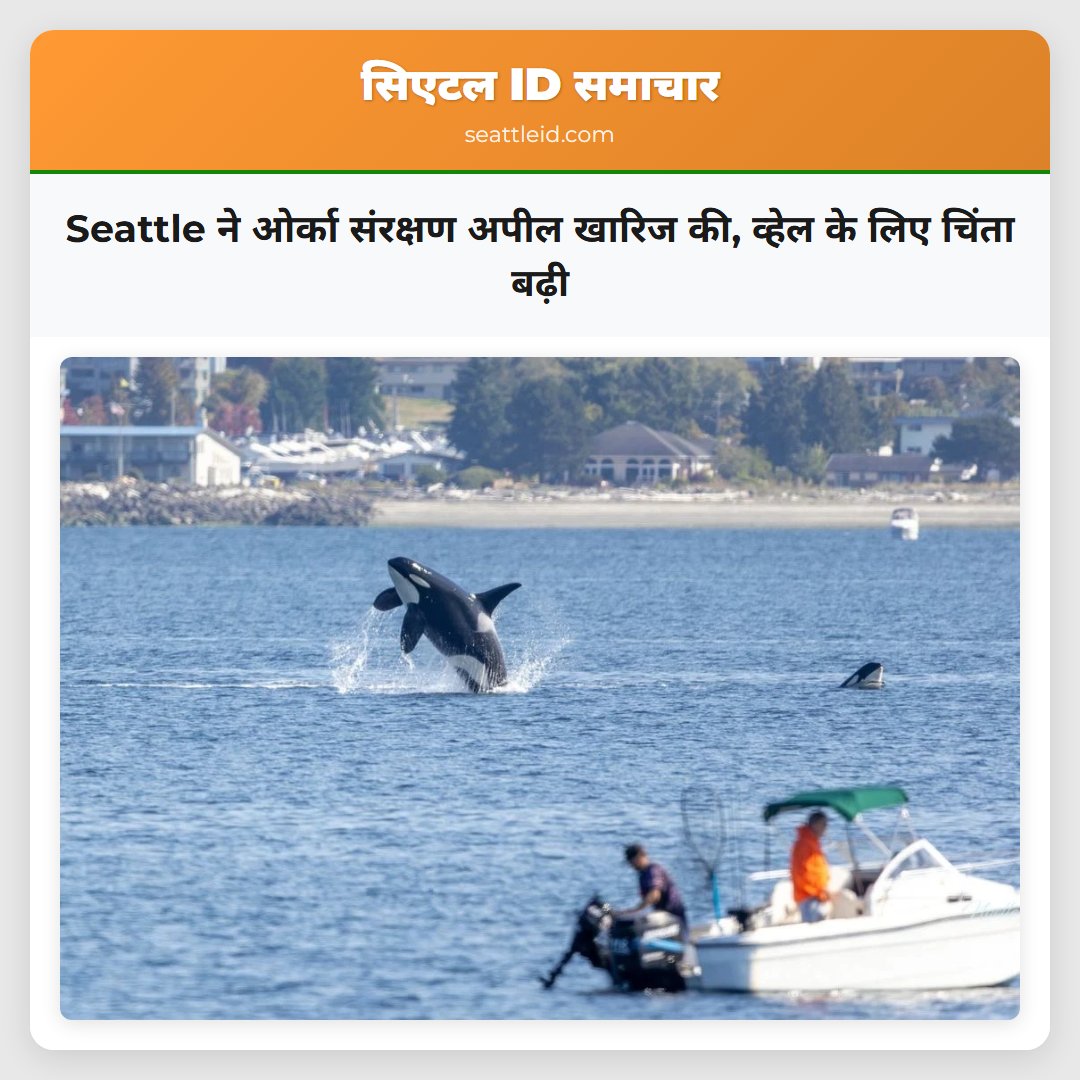 Seattle ने ओर्का संरक्षण अपील खारिज की, व्हेल के