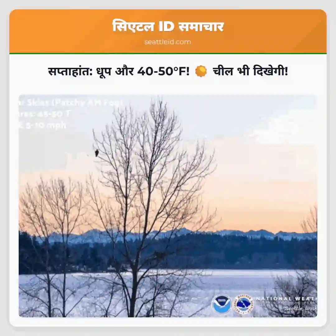 सप्ताहांत: धूप और 40-50°F! ☀️ चील भी दिखेगी!