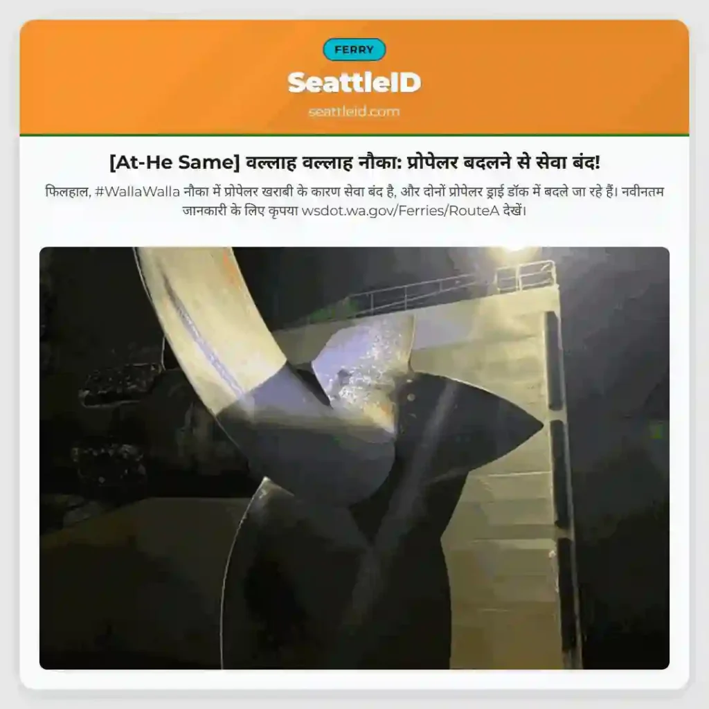 [At-He Same] वल्लाह वल्लाह नौका: प्रोपेलर बदलने से सेवा बंद!