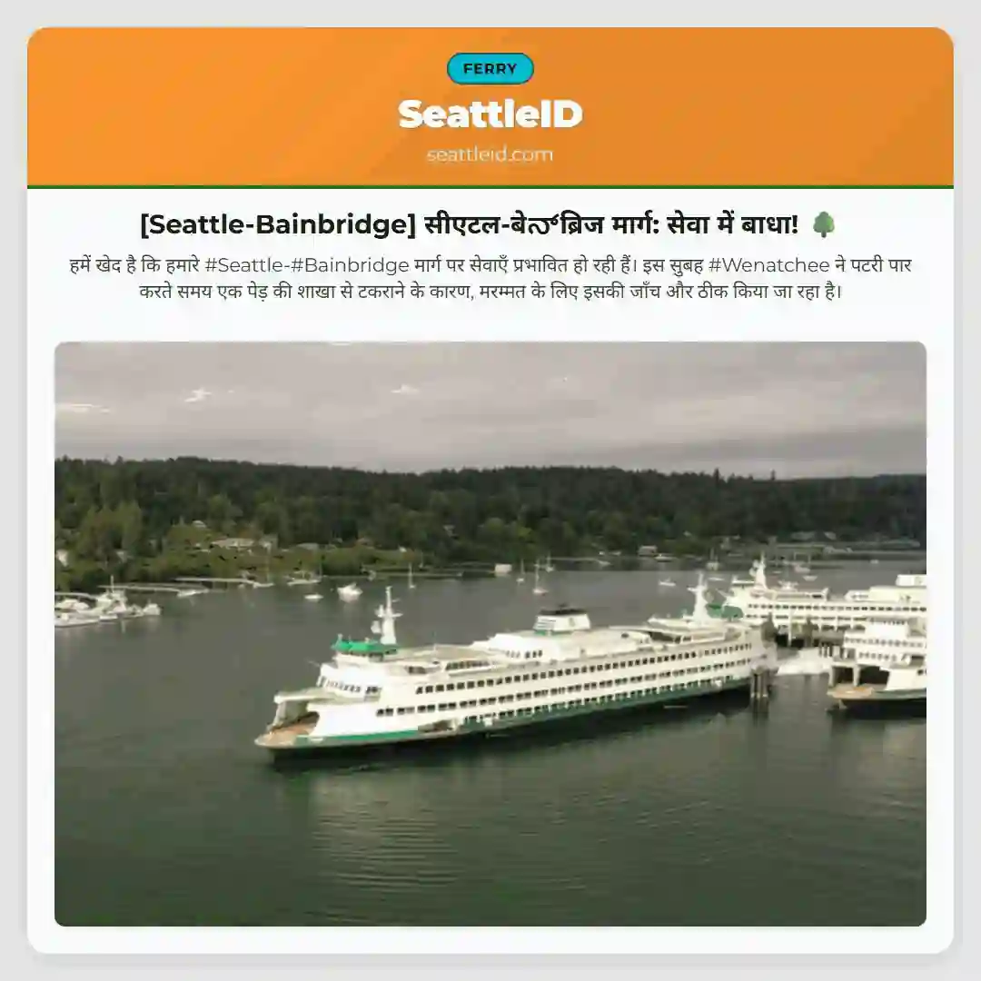 [Seattle-Bainbridge] सीएटल-बेನ್‌ब्रिज मार्ग: सेवा में बाधा! 🌳