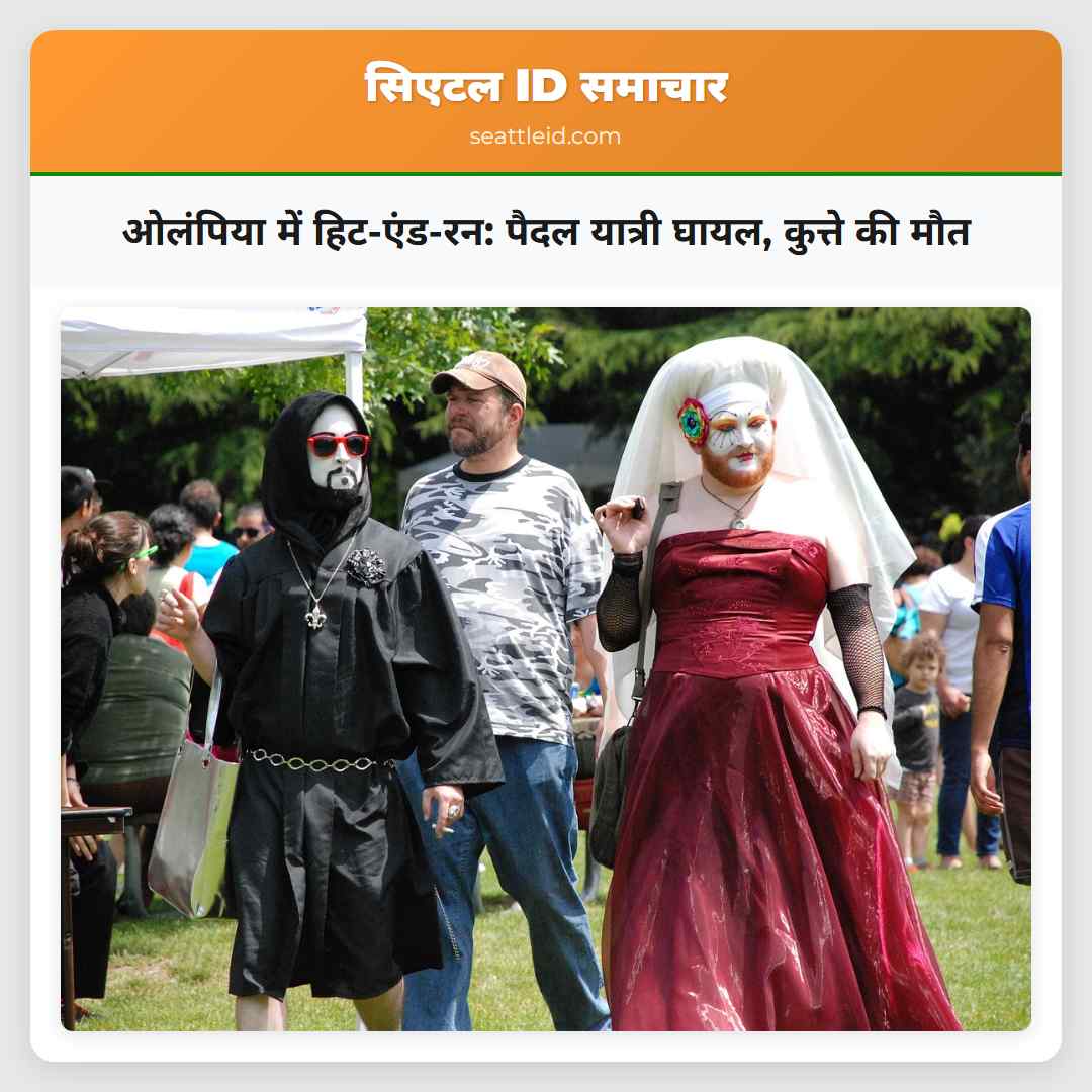 ओलंपिया में हिट-एंड-रन: पैदल यात्री घायल, कुत्ते