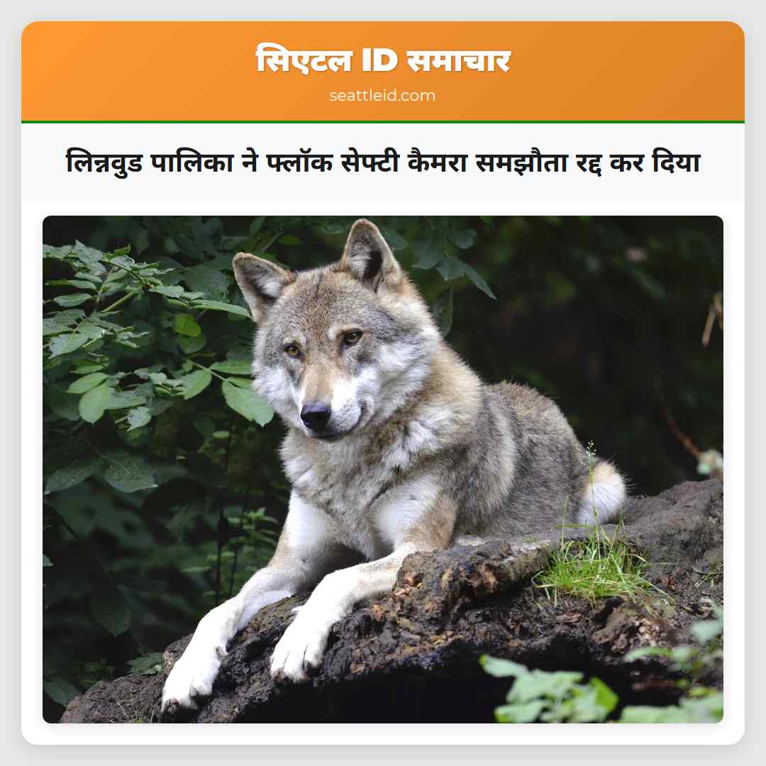 लिन्नवुड पालिका ने फ्लॉक सेफ्टी कैमरा समझौता रद्द