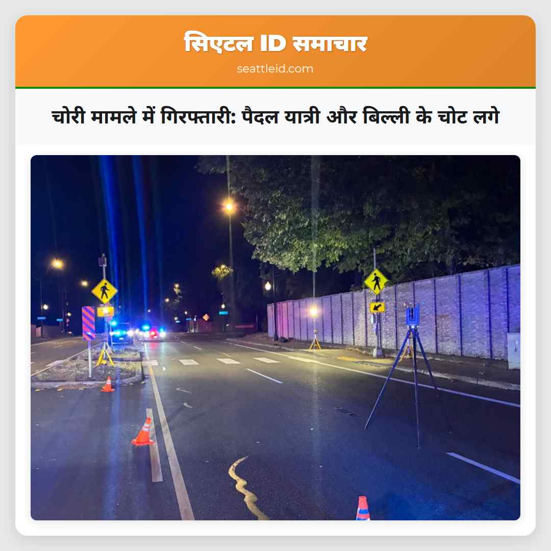 चोरी मामले में गिरफ्तारी: पैदल यात्री और बिल्ली