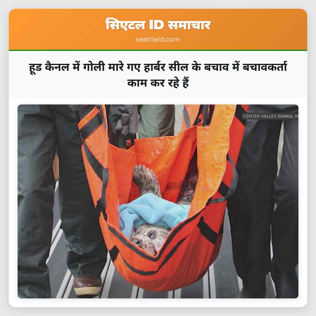हूड कैनल में गोली मारे गए हार्बर सील के बचाव में