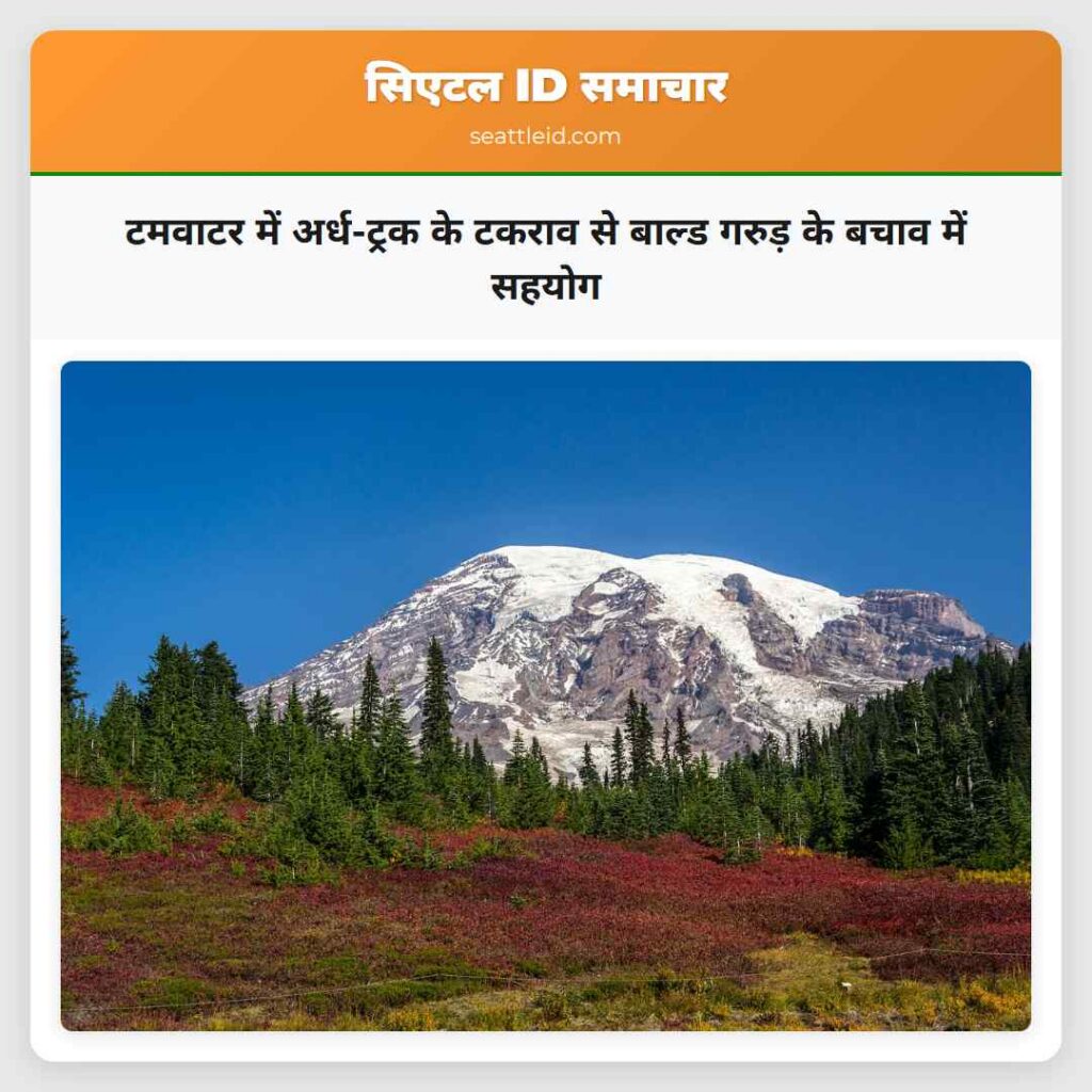 टमवाटर में अर्ध-ट्रक के टकराव से बाल्ड गरुड़ के