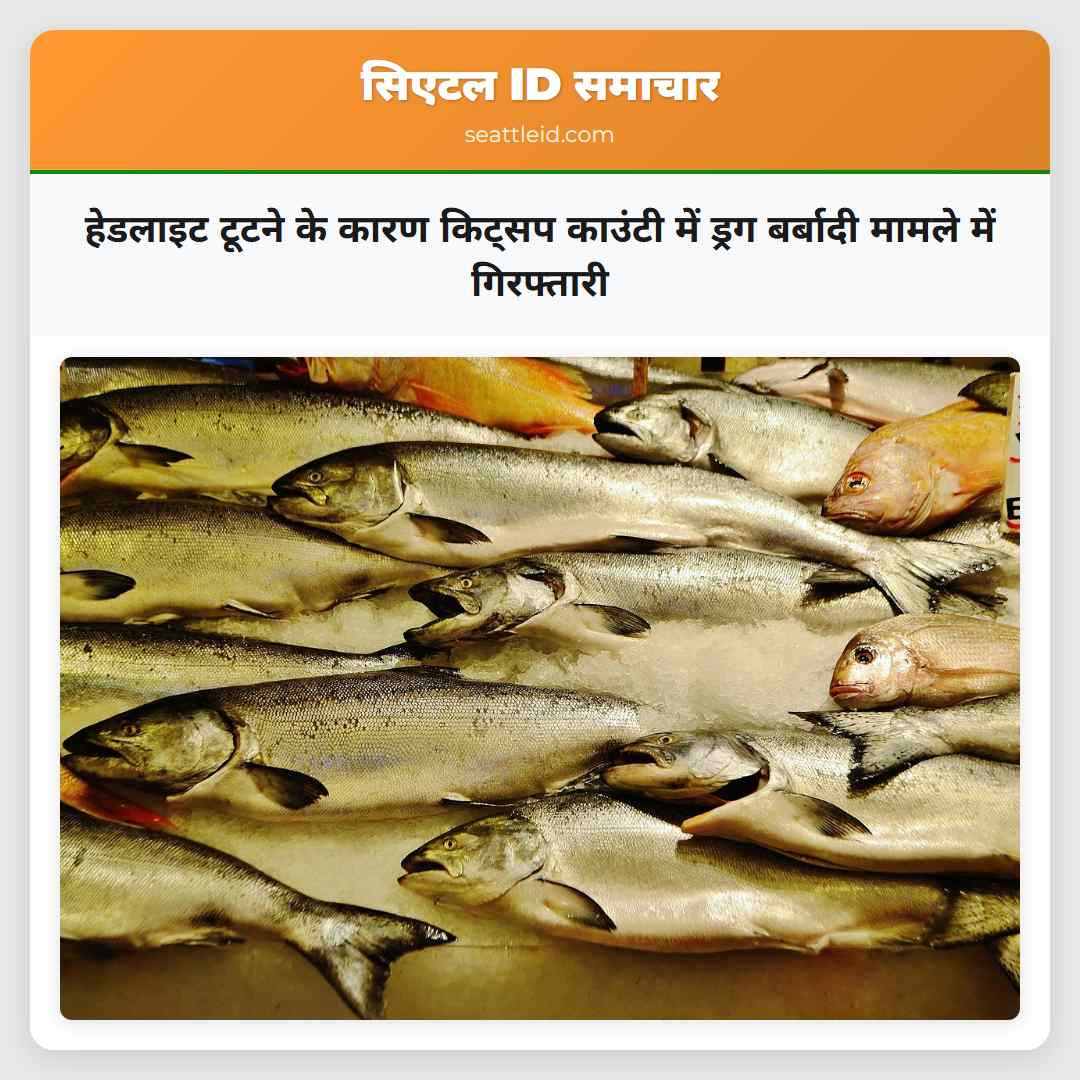 हेडलाइट टूटने के कारण किट्सप काउंटी में ड्रग