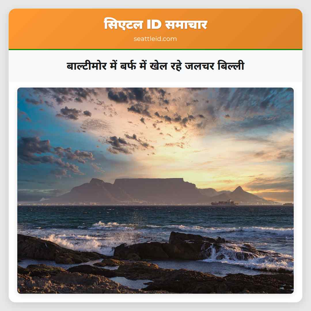 बाल्टीमोर में बर्फ में खेल रहे जलचर बिल्ली