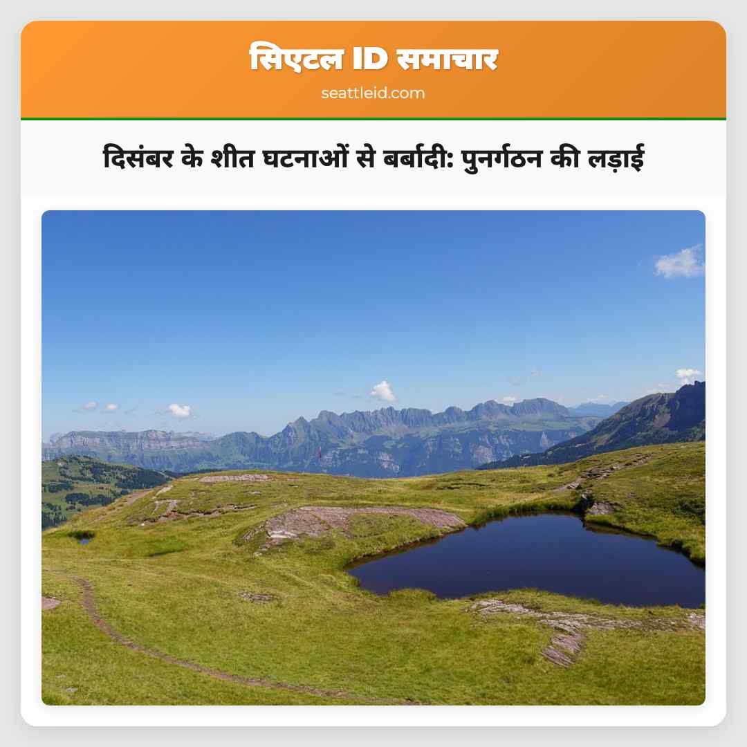 दिसंबर के शीत घटनाओं से बर्बादी: पुनर्गठन की लड़ाई