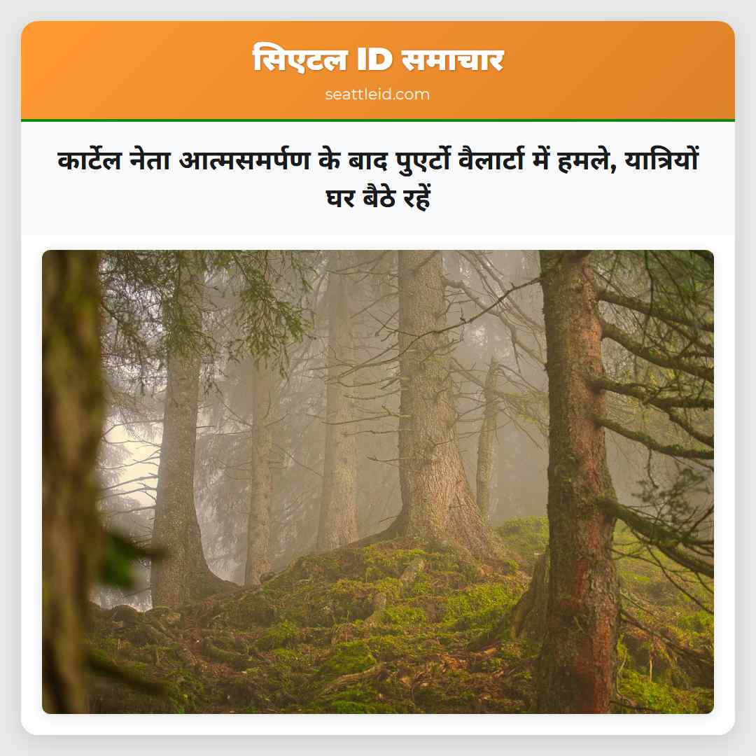 कार्टेल नेता आत्मसमर्पण के बाद पुएर्टो वैलार्टा