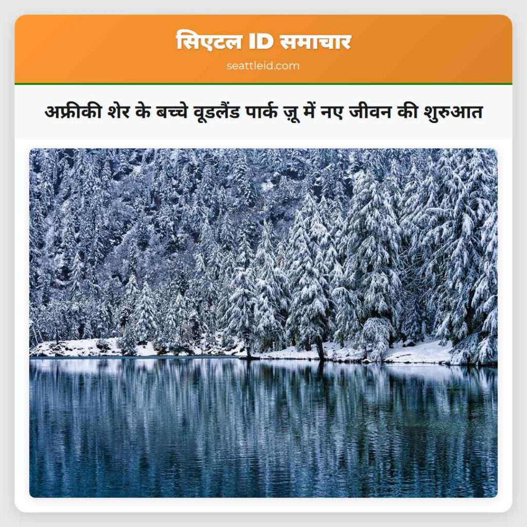 अफ्रीकी शेर के बच्चे वूडलैंड पार्क ज़ू में नए