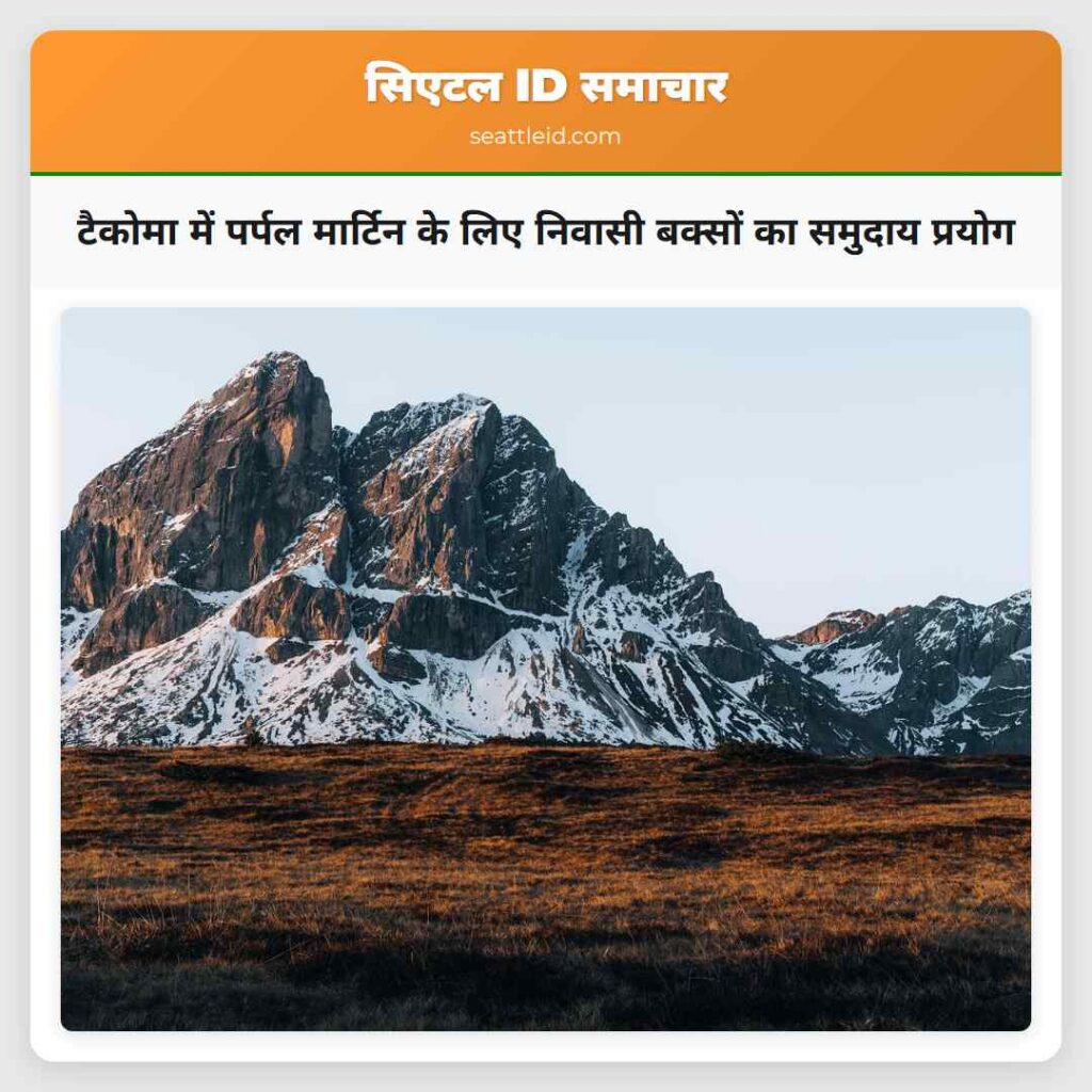टैकोमा में पर्पल मार्टिन के लिए निवासी बक्सों का