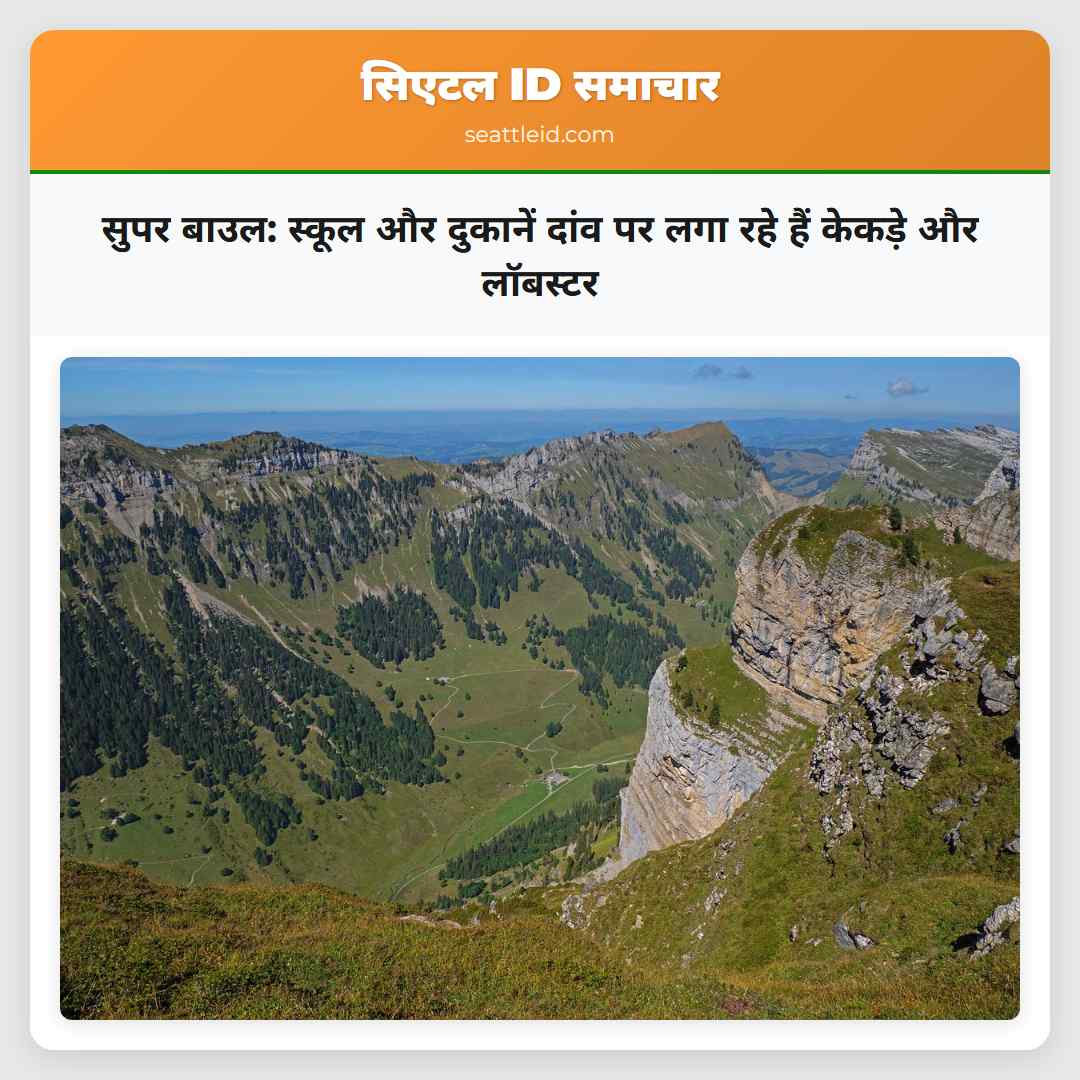 सुपर बाउल: स्कूल और दुकानें दांव पर लगा रहे हैं
