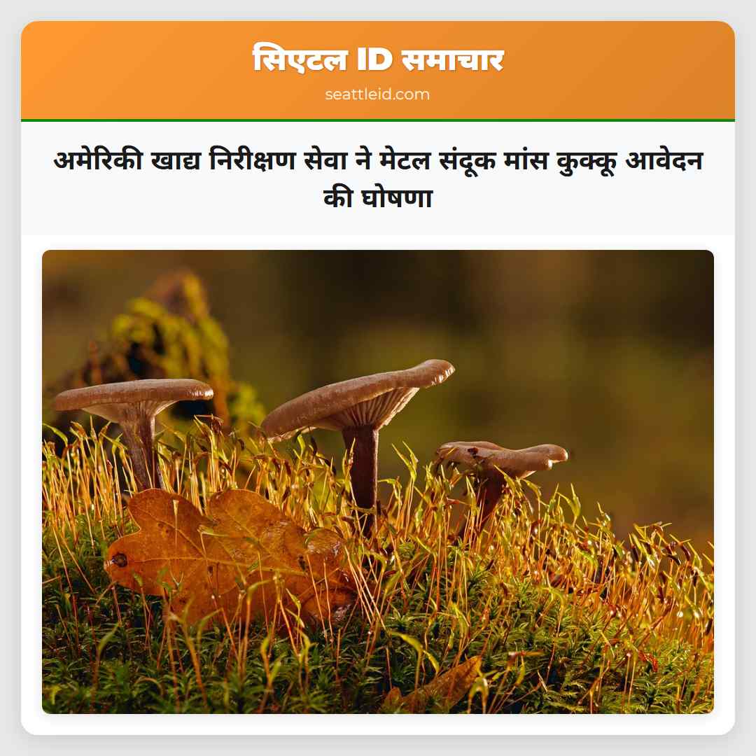 अमेरिकी खाद्य निरीक्षण सेवा ने मेटल संदूक मांस