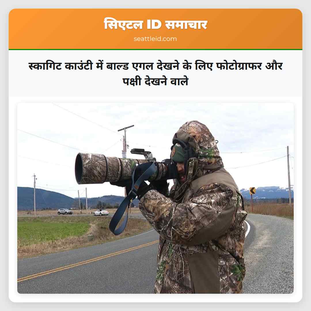 स्कागिट काउंटी में बाल्ड एगल देखने के लिए