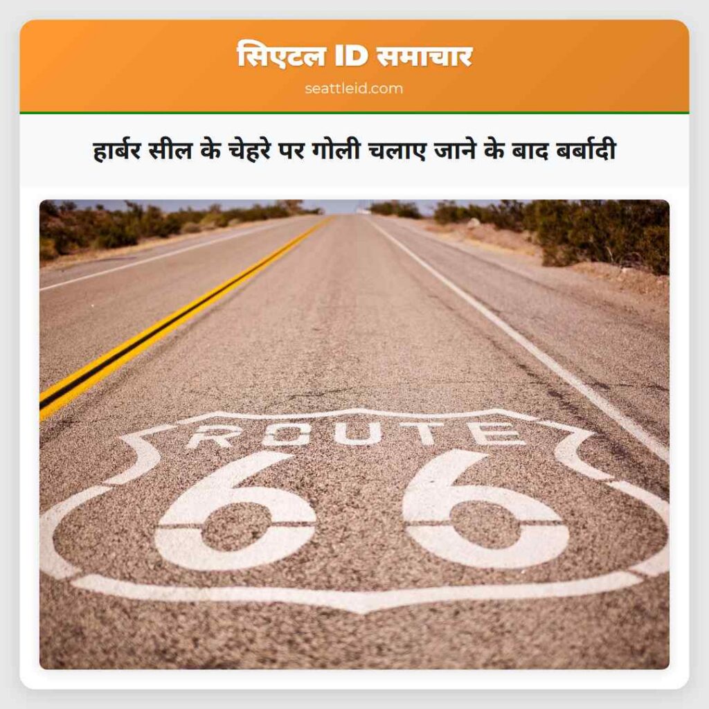 हार्बर सील के चेहरे पर गोली चलाए जाने के बाद