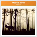 यूएसएस निमित्ज ब्रेमरटन छोड़कर नौसेना द्वारा विस्मारक बन रहा है