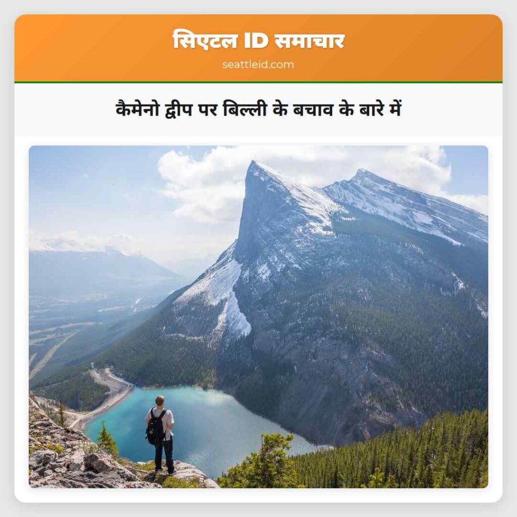कैमेनो द्वीप पर बिल्ली के बचाव के बारे में