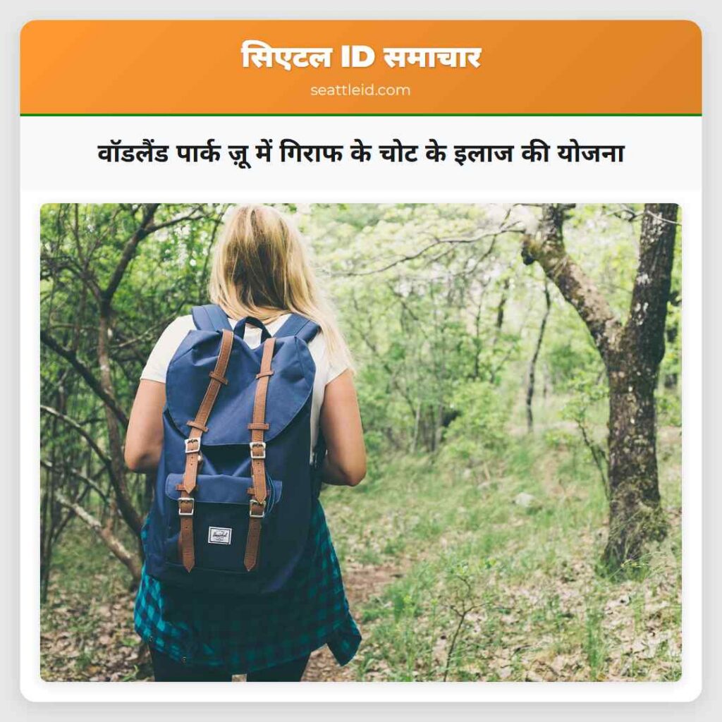 वॉडलैंड पार्क ज़ू में गिराफ के चोट के इलाज की