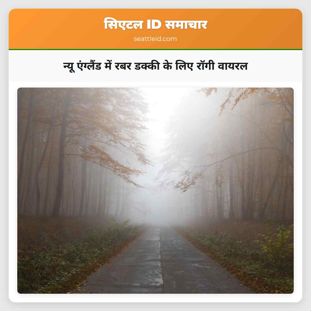 न्यू एंग्लैंड में रबर डक्की के लिए रॉगी वायरल