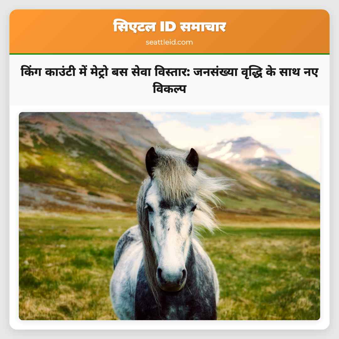 दक्षिण किंग काउंटी में मेट्रो बस सेवा विस्तार की घोषणा जनसंख्या वृद्धि के साथ नवीन यात्रा विकल्प