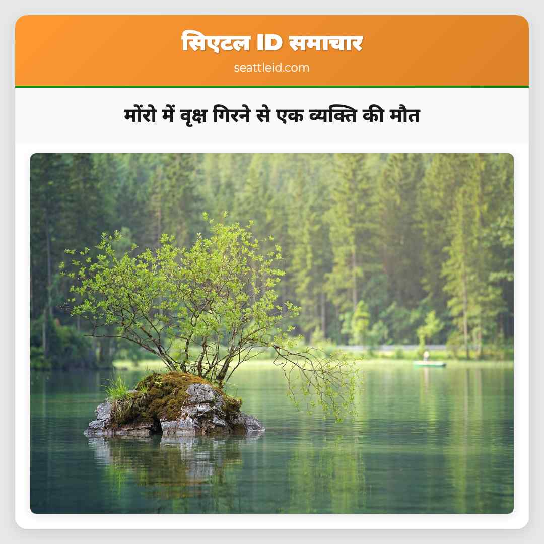 मोंरो में दुखद घटना वृक्ष गिरने से एक व्यक्ति की मौत