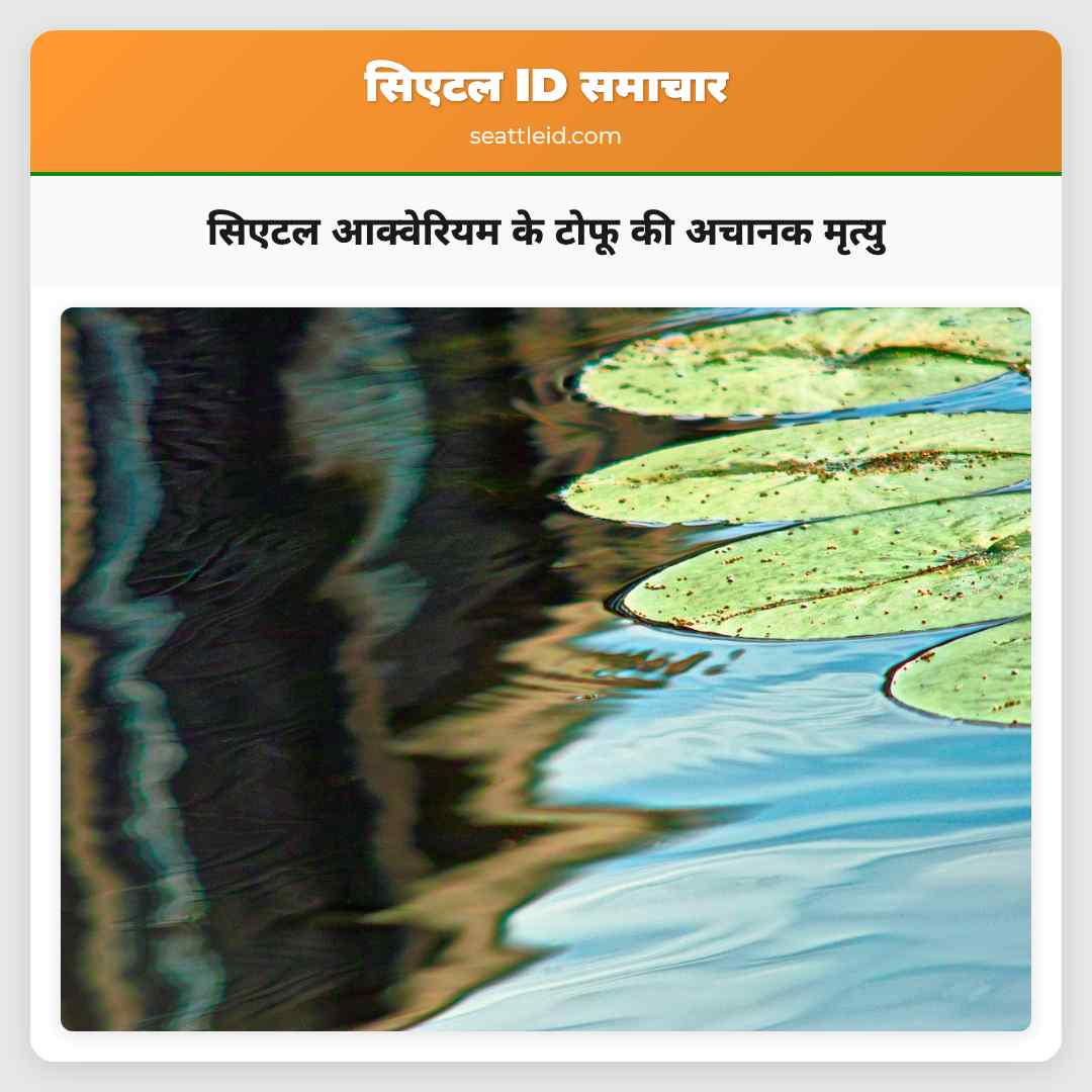 सिएटल आक्वेरियम के टोफू की अचानक मृत्यु