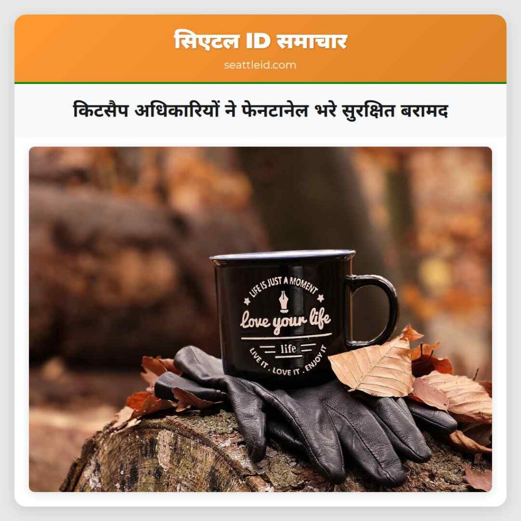 किटसैप अधिकारियों ने फेनटानेल भरे सुरक्षित बरामद
