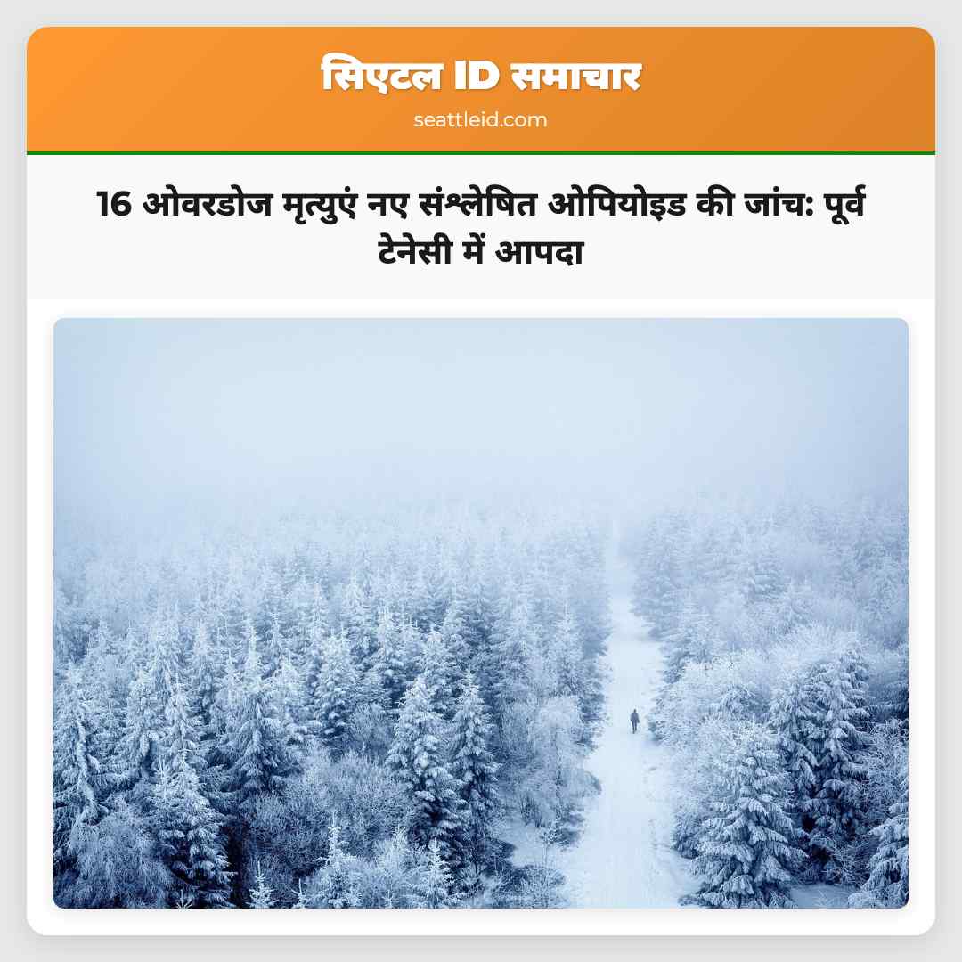 16 ओवरडोज मृत्युएं नए संश्लेषित ओपियोइड की जांच: