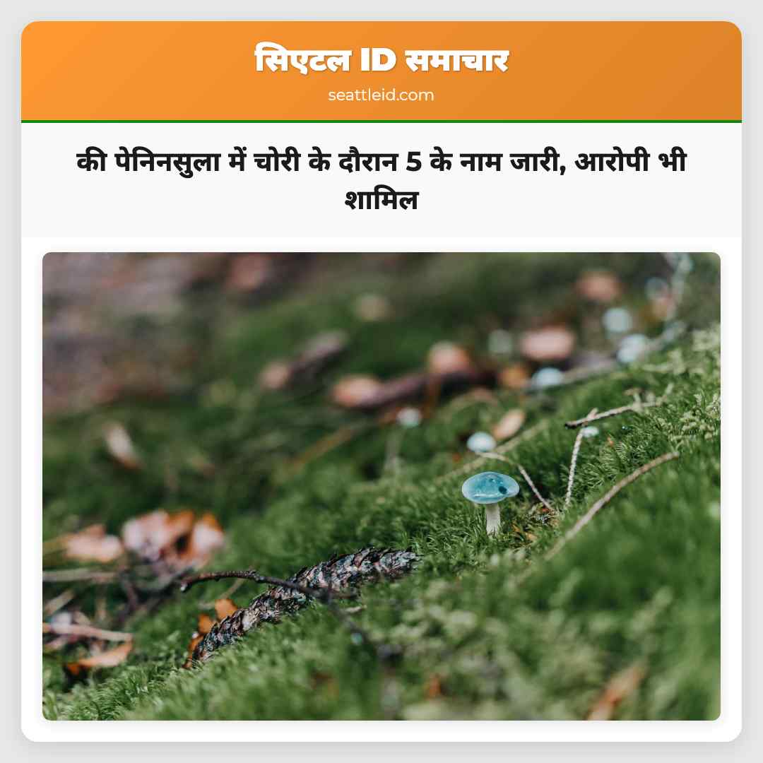 की पेनिनसुला में चोरी के दौरान 5 के नाम जारी,