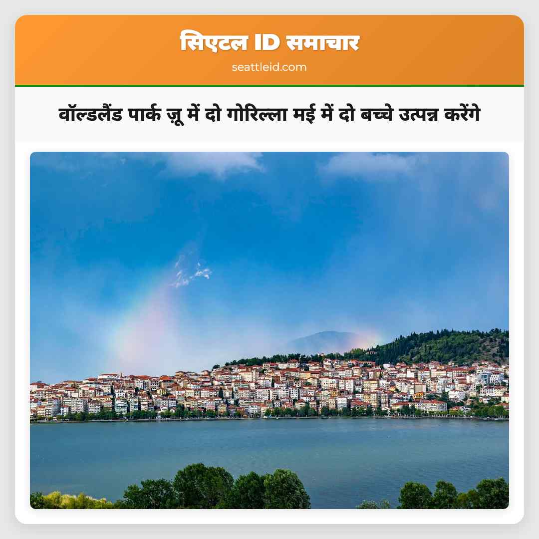 वॉल्डलैंड पार्क ज़ू में दो गोरिल्ला मई में दो