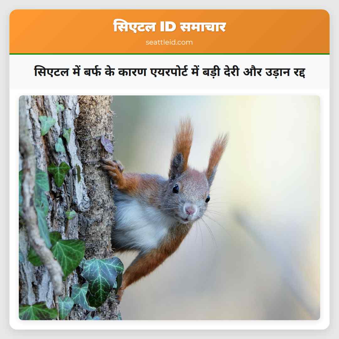 सिएटल में बर्फ के कारण एयरपोर्ट में बड़ी देरी और उड़ान रद्द