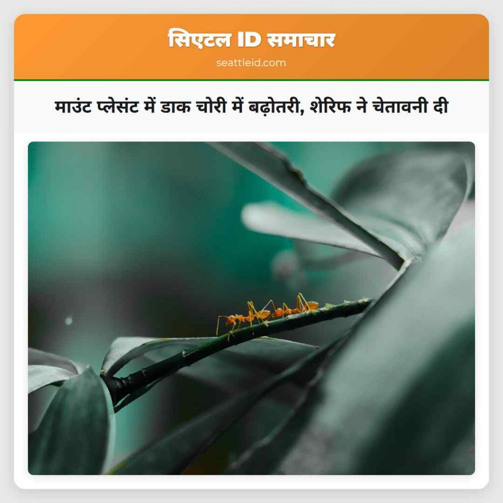 माउंट प्लेसंट में डाक चोरी में बढ़ोतरी, शेरिफ ने