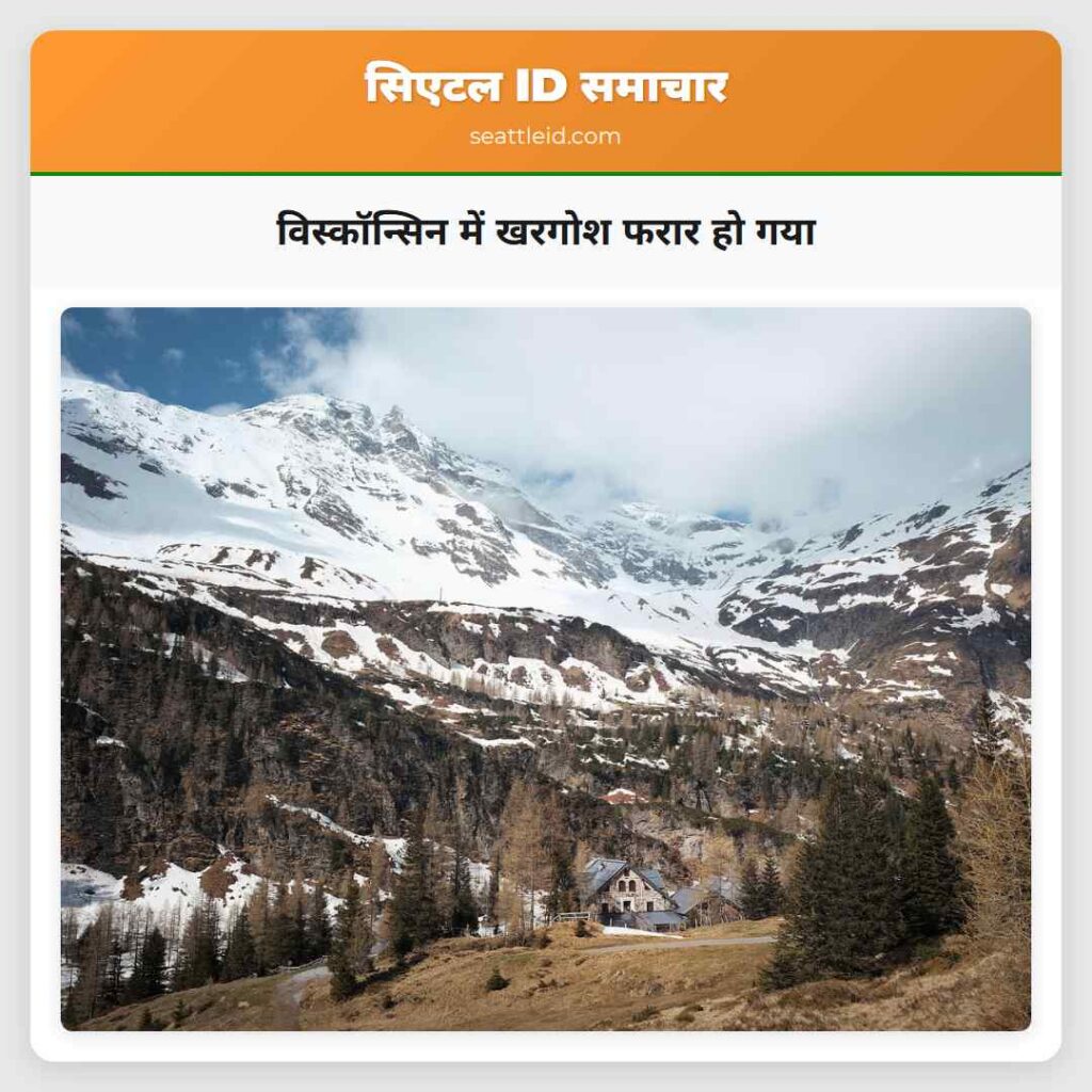 विस्कॉन्सिन में खरगोश फरार हो गया