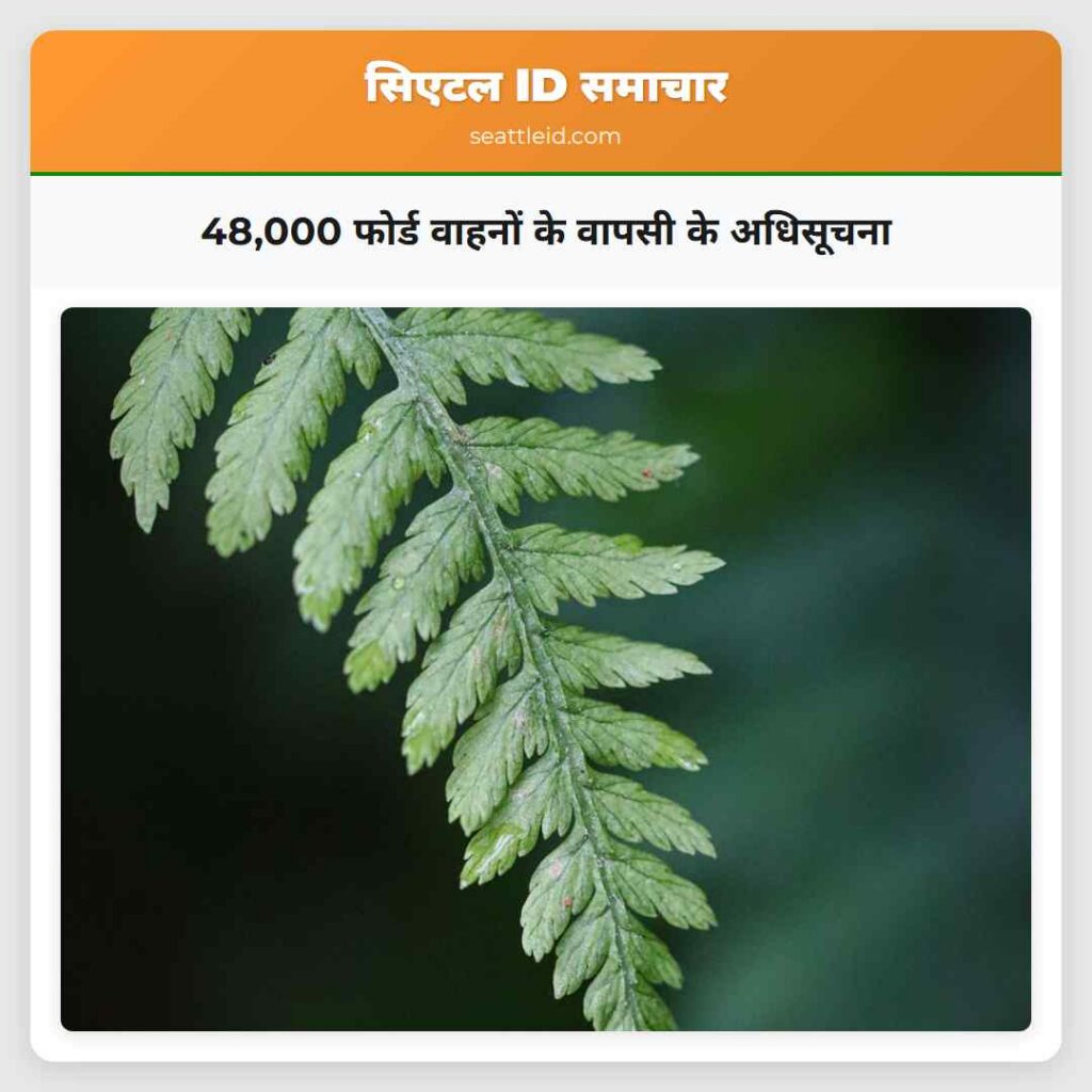 48,000 फोर्ड वाहनों के वापसी के अधिसूचना