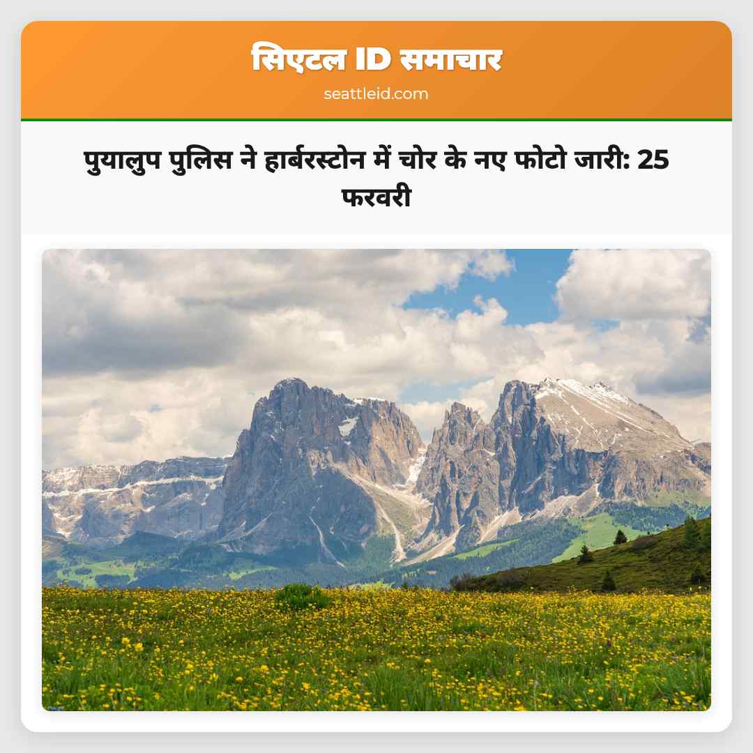 पुयालुप पुलिस ने हार्बरस्टोन में चोर के नए फोटो