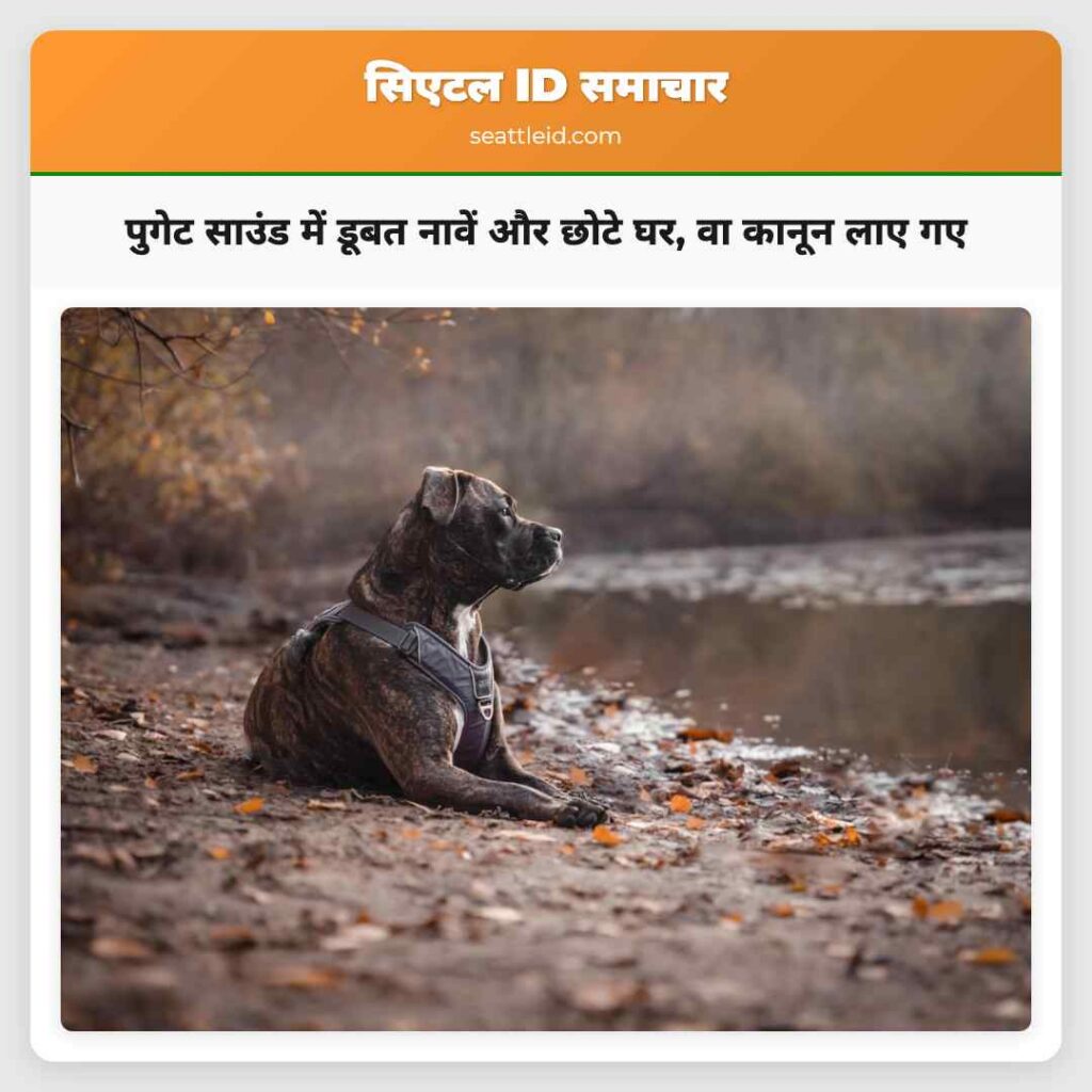 पुगेट साउंड में डूबत नावें और छोटे घर, वा कानून